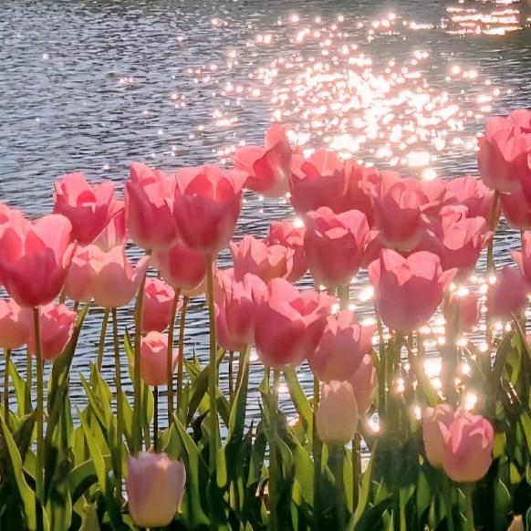 怏乐一生拒绝私聊