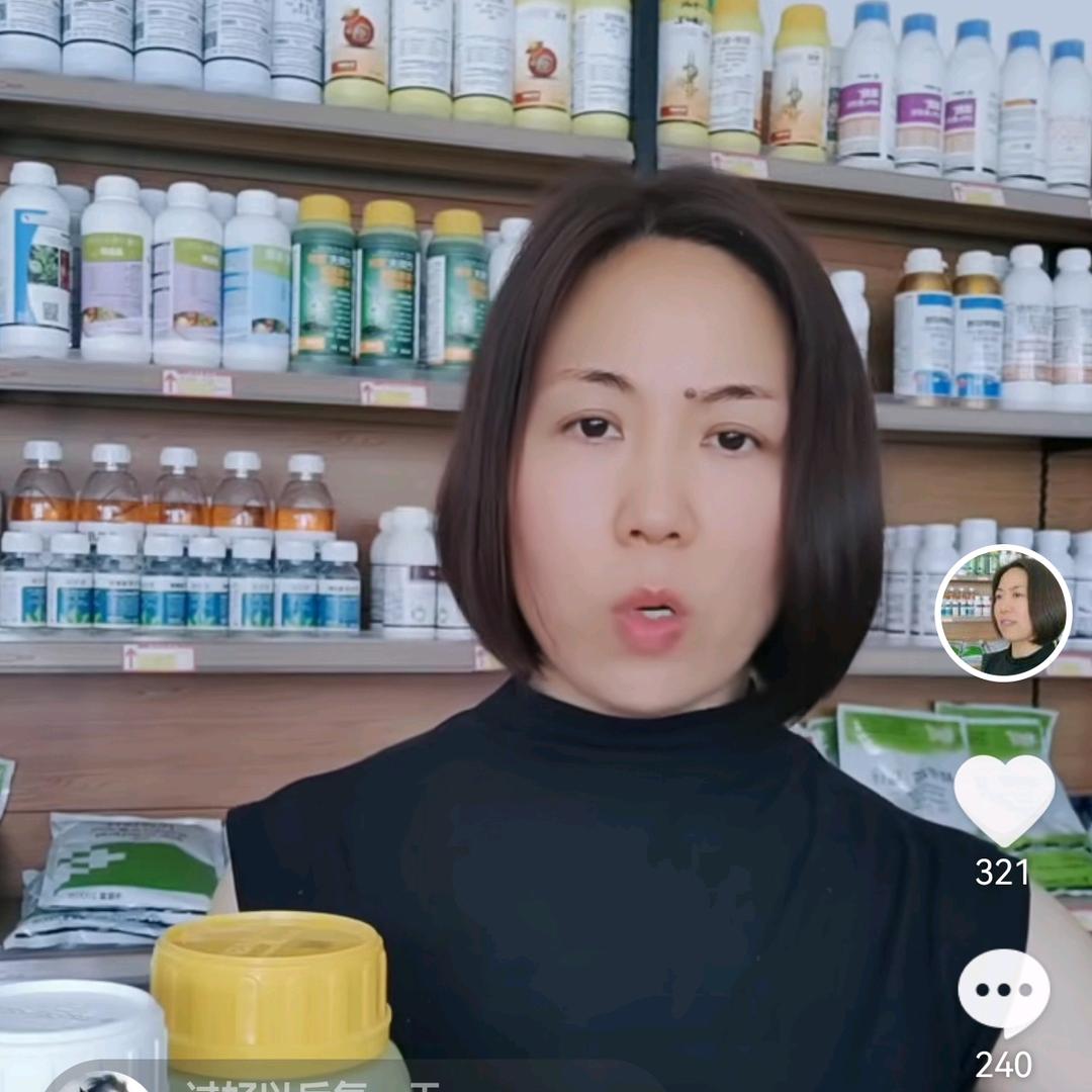 叶子植保方案