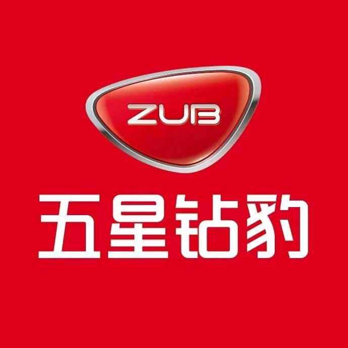 柴桑区万超车
