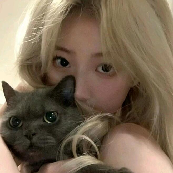 阿鱼.