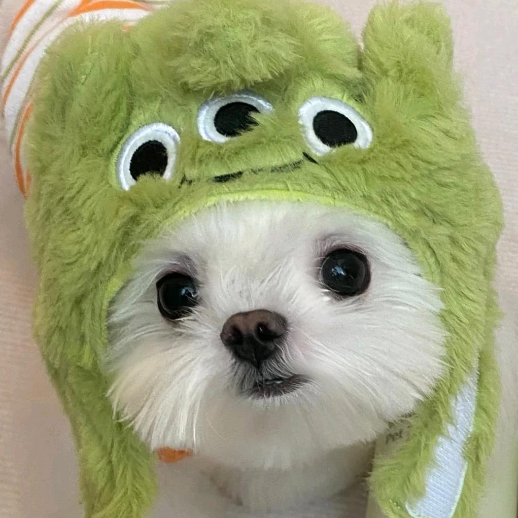鱼鱼鱼🐟🐟