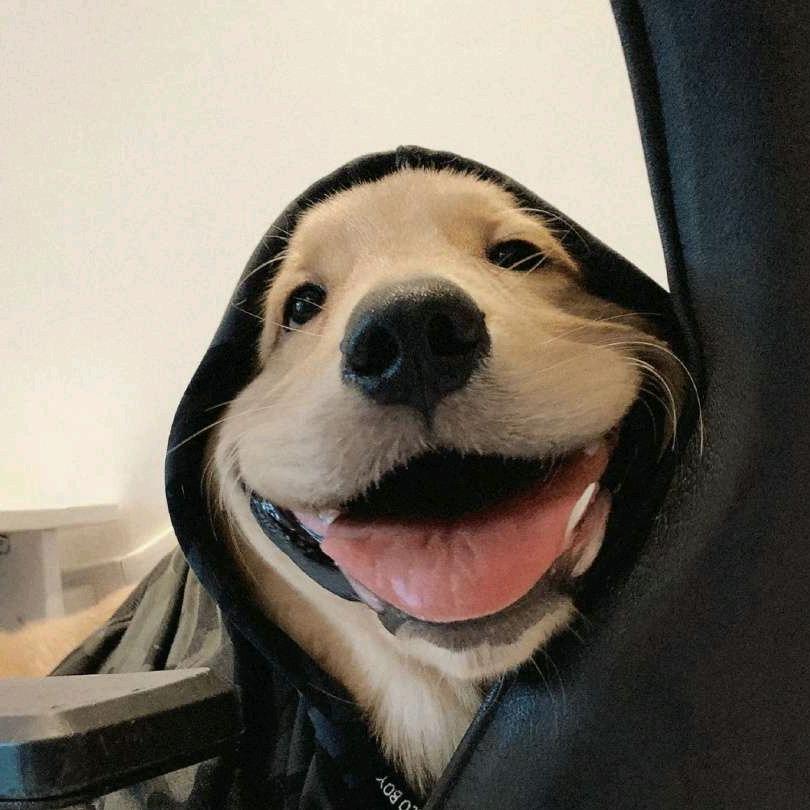 三角洲(纯绿跑刀)