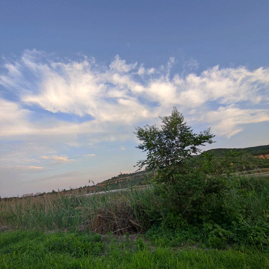 云卷云舒💋💋