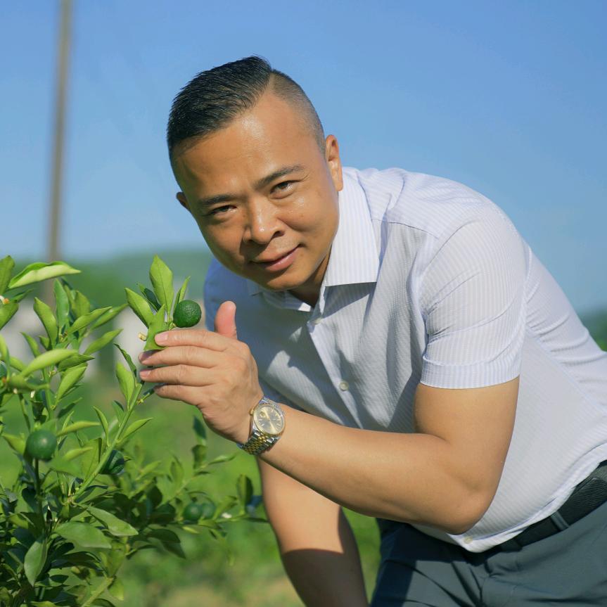 华皓 脆蜜金柑