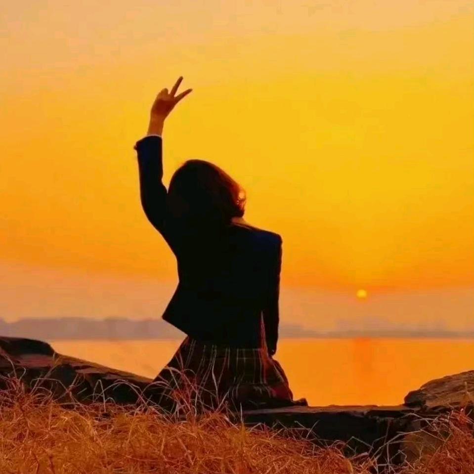 风铃草，～…