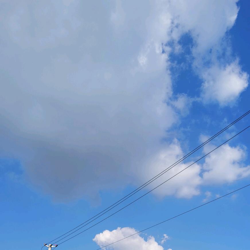 Li from China🇨🇳