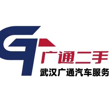 武汉二手新能源车柳哥