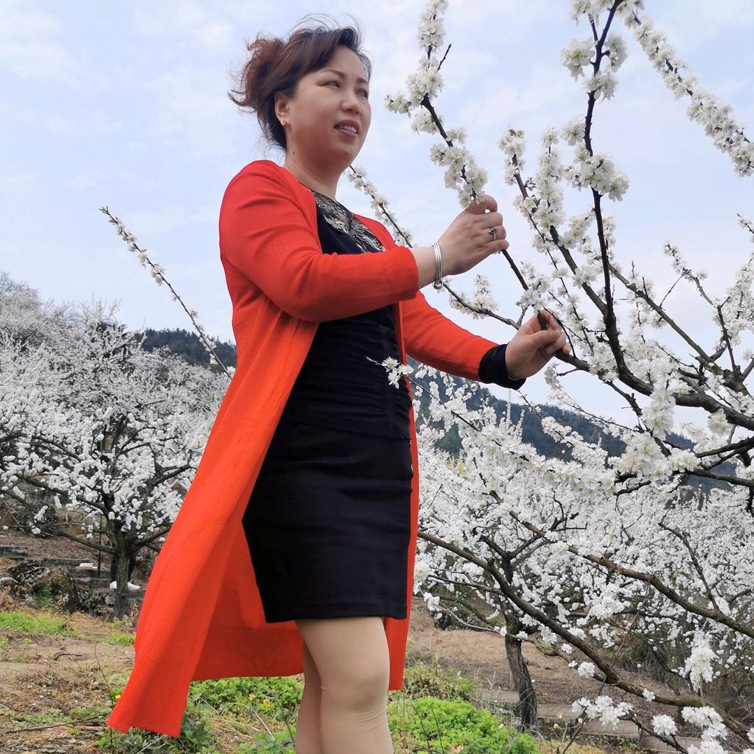 半球服装