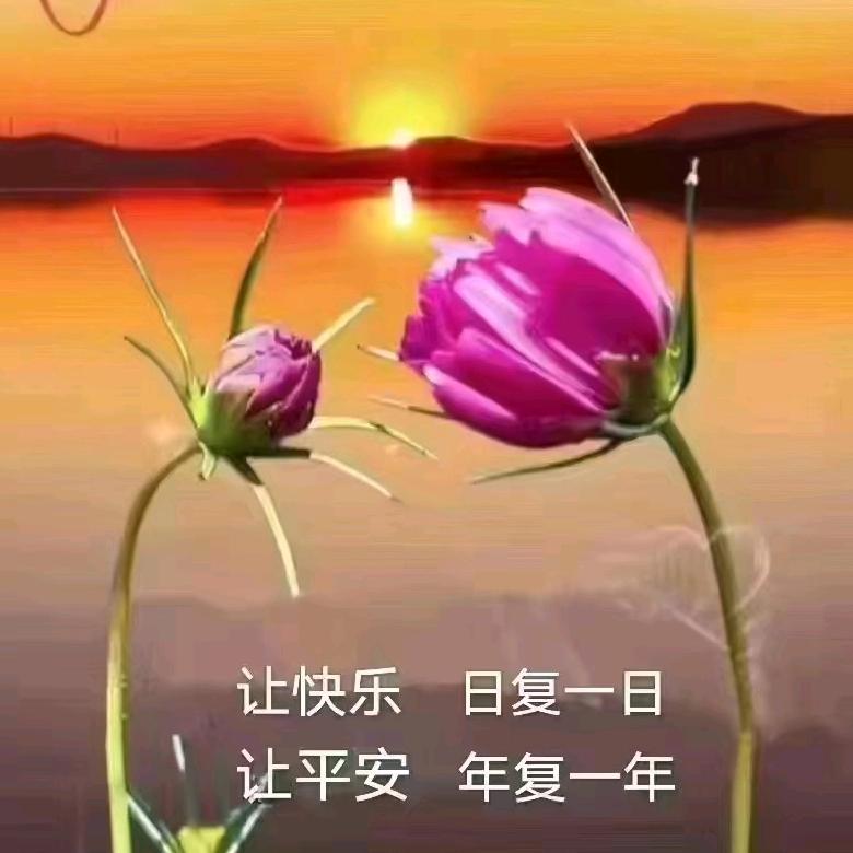 常乐乐
