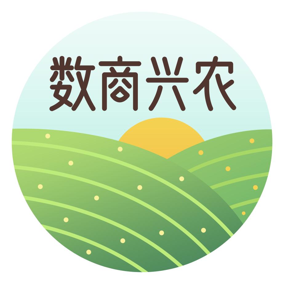 数商兴农 助力家乡