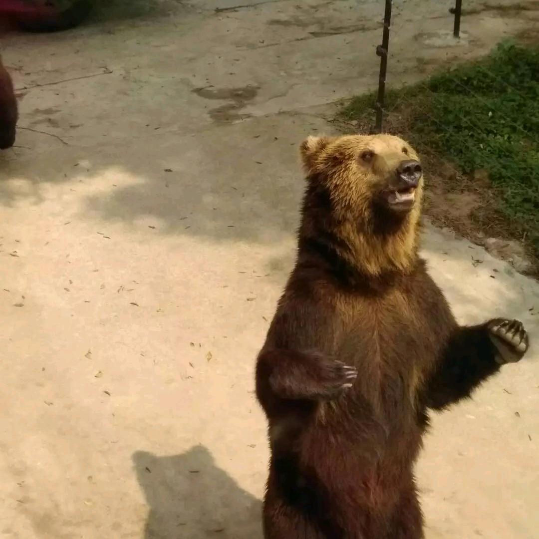 可以从新开始，不可重新开始