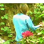 春哥（记录日常生活）