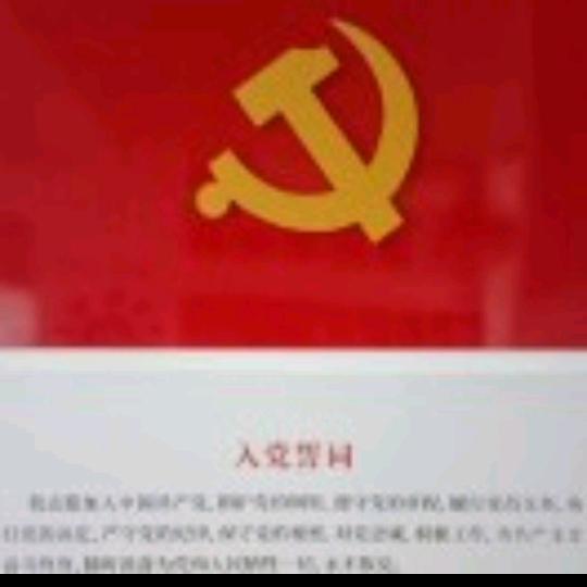 卢俊义