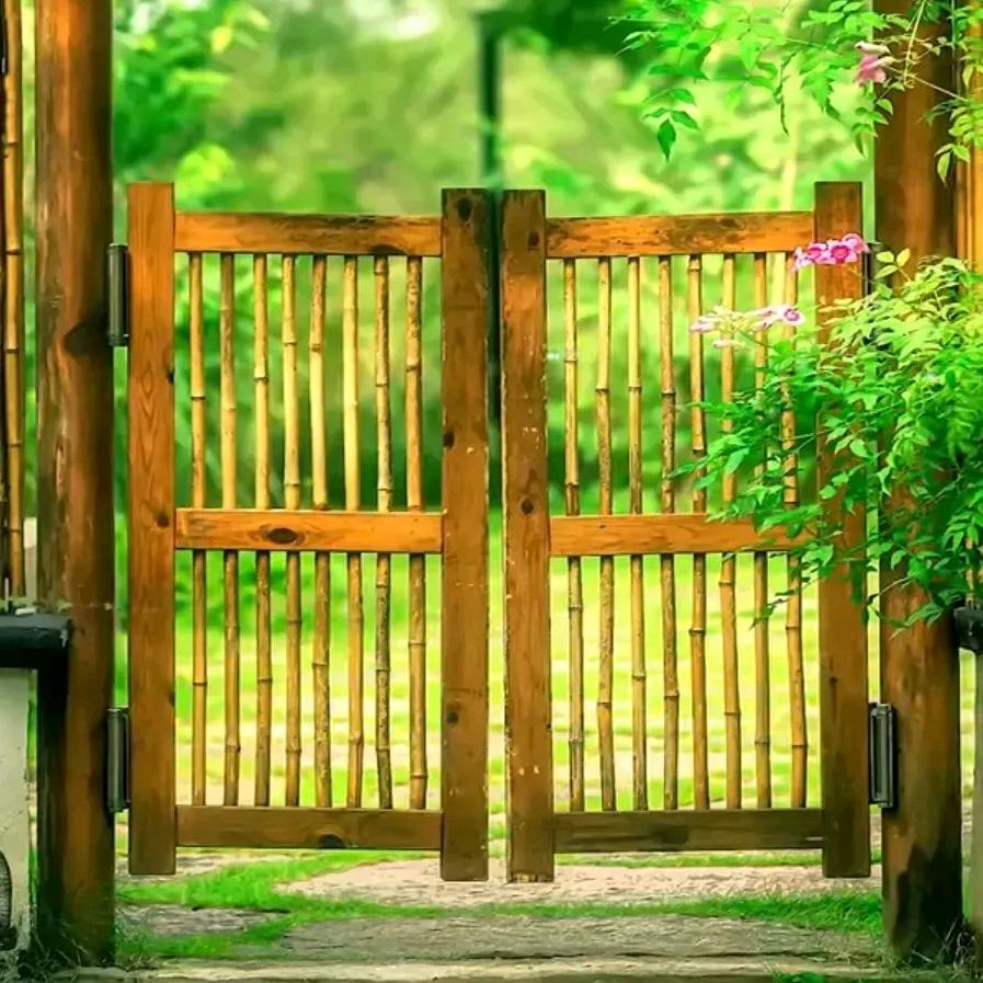 朴养道