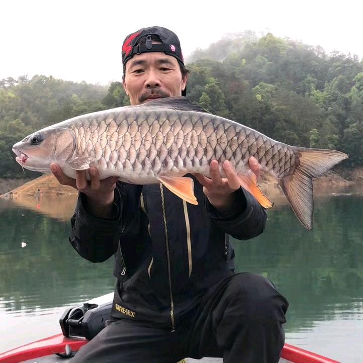 淡定的疯子