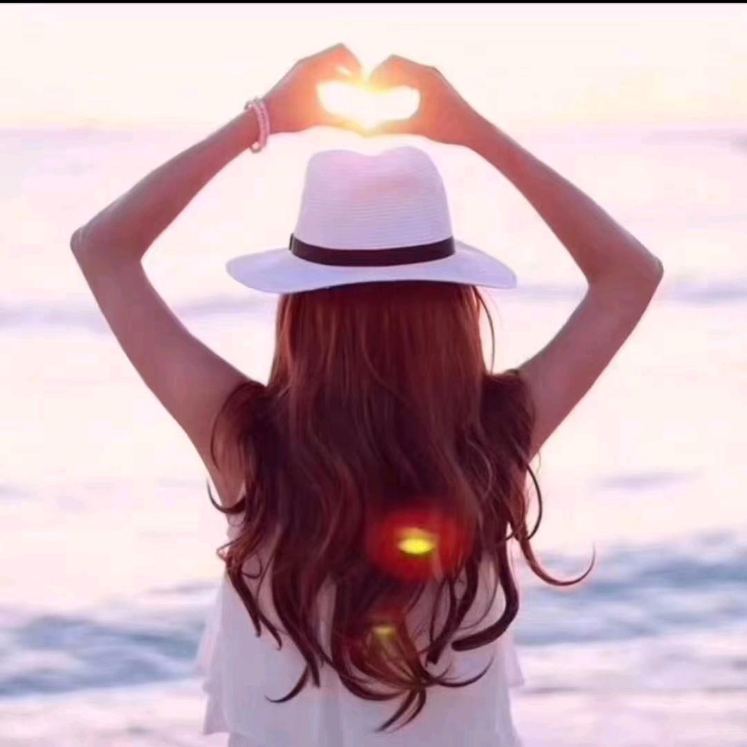 杨凌组培砧木苗