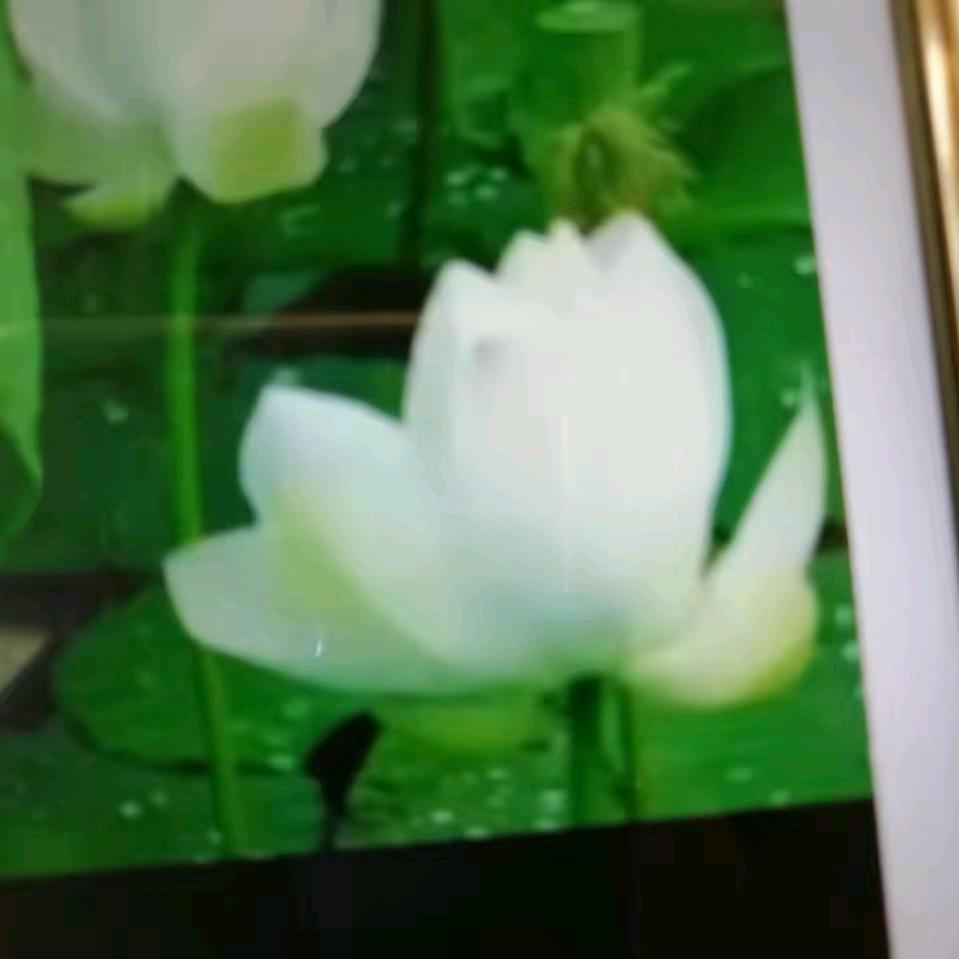 有你才快乐