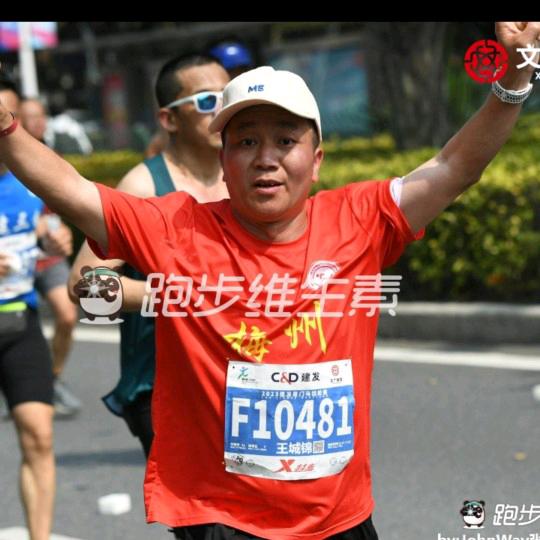 王城锦