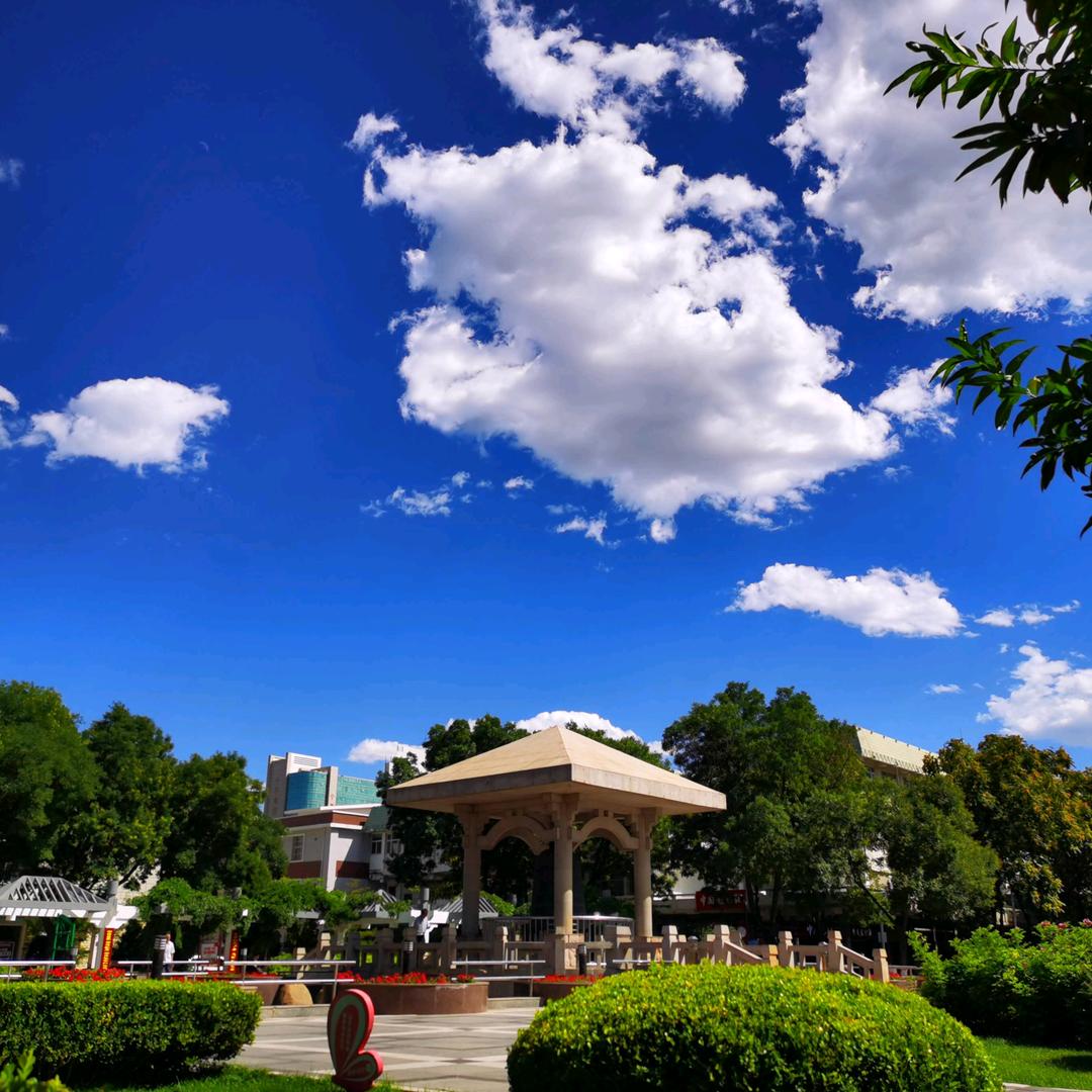 邯山区智云服饰百货店