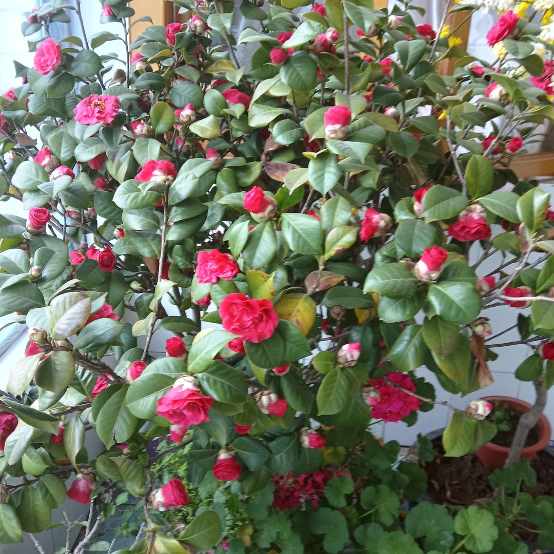 今生有你