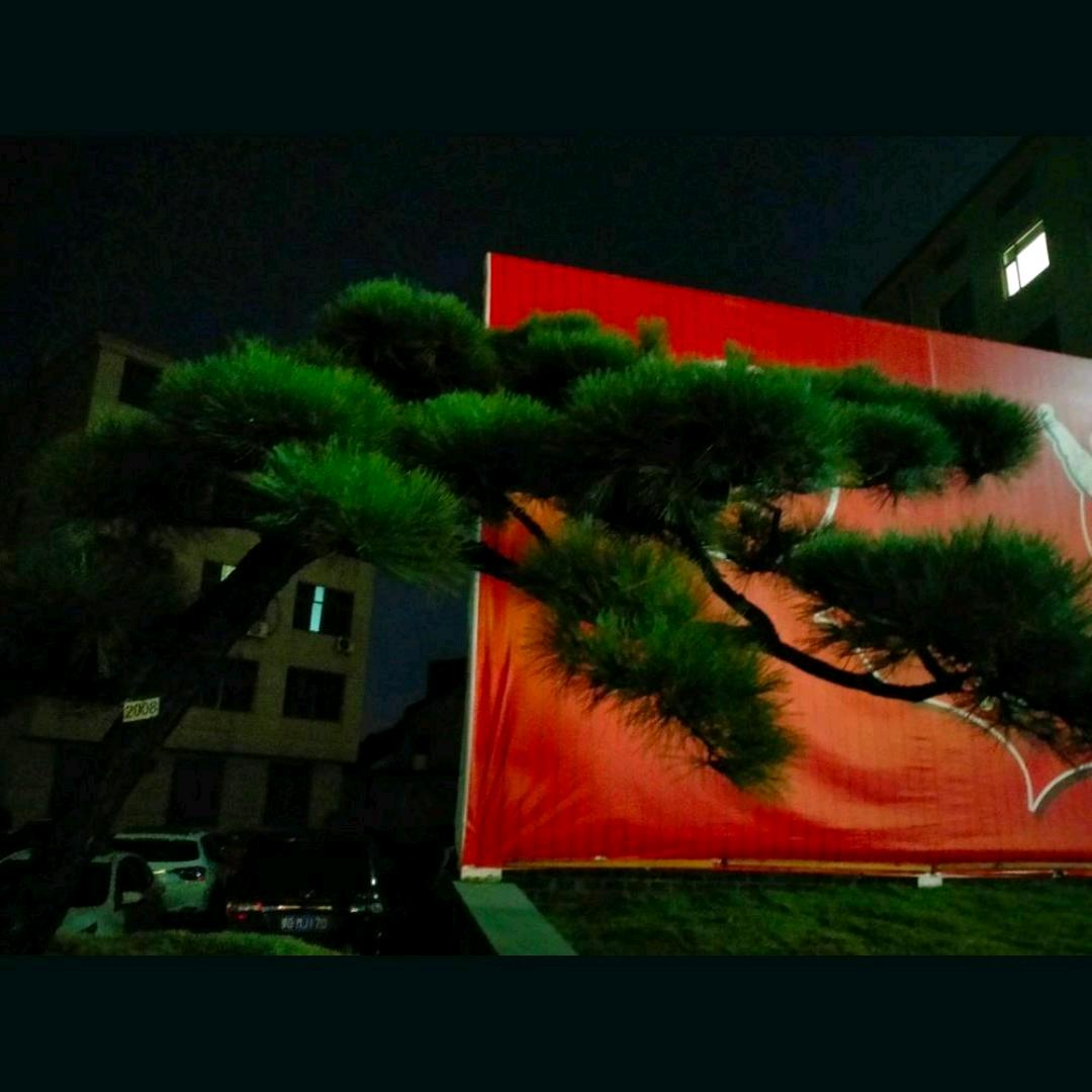 永远爱你才有情