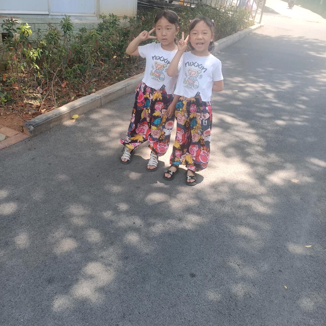 大双琦琦小双微微