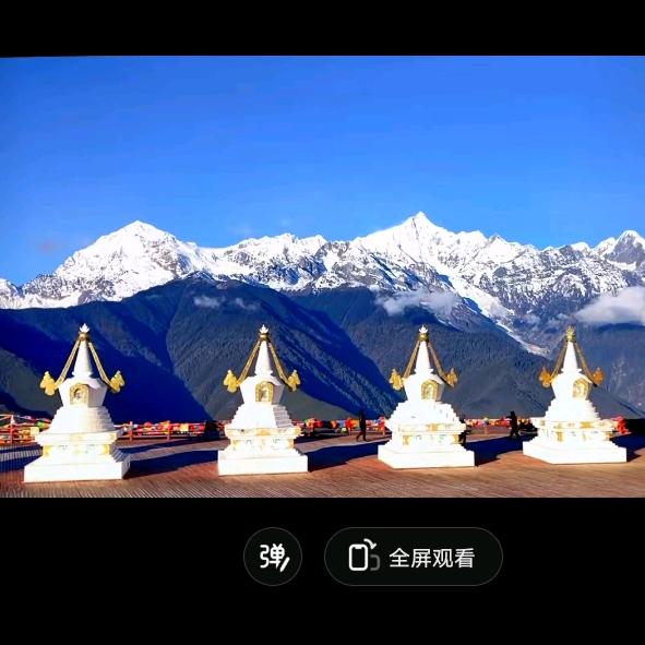 刀杰草