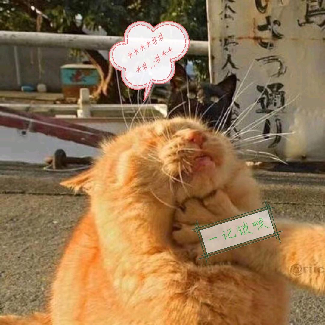 兔子🐰不会游泳