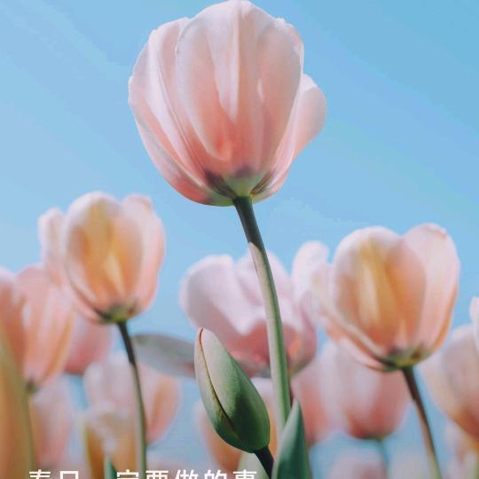 用户5941371336482