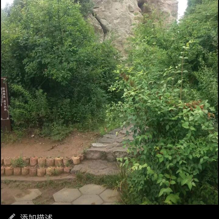 曦曦