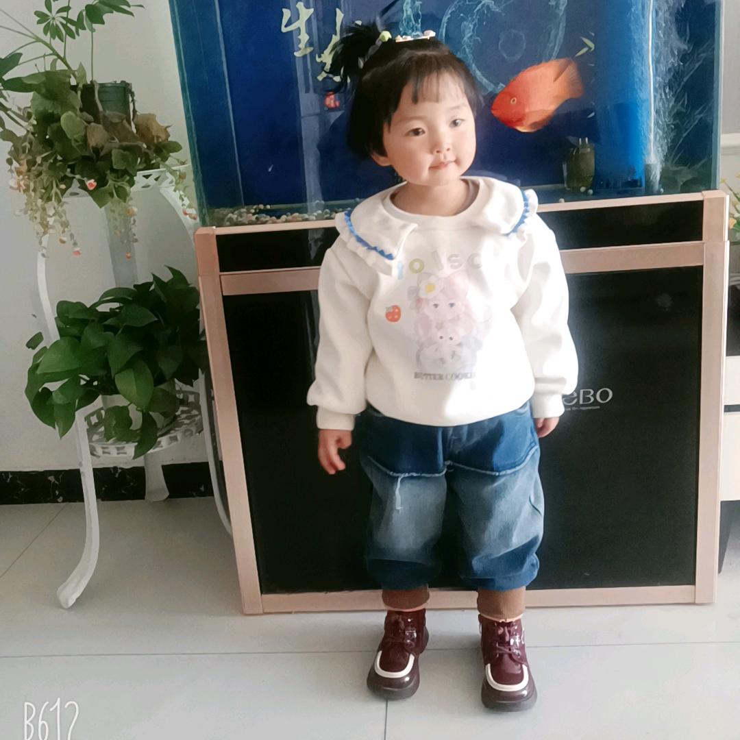 燕燕