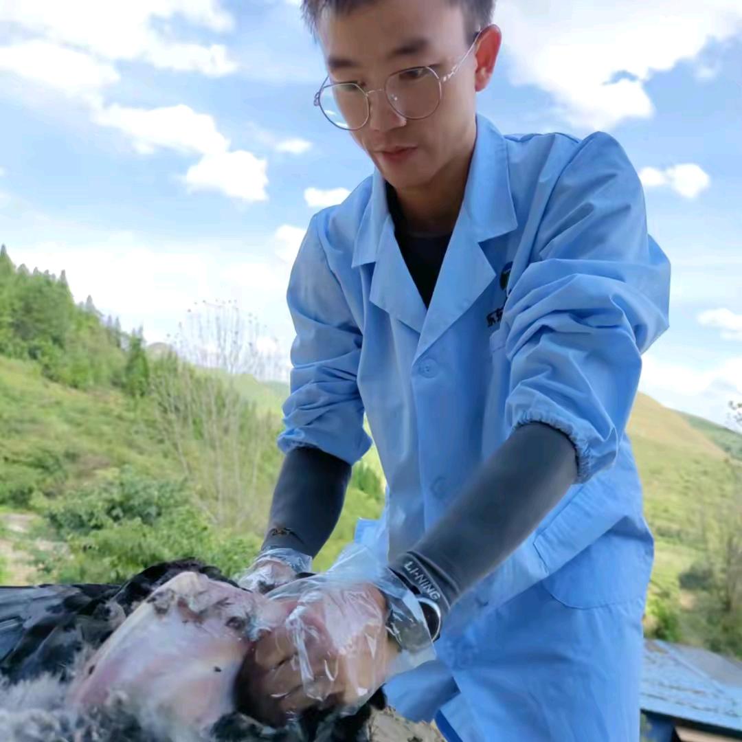 一线禽医—阿阳