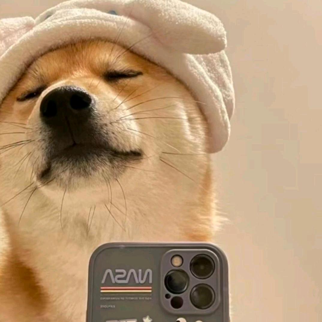 琪琪说侃娱乐