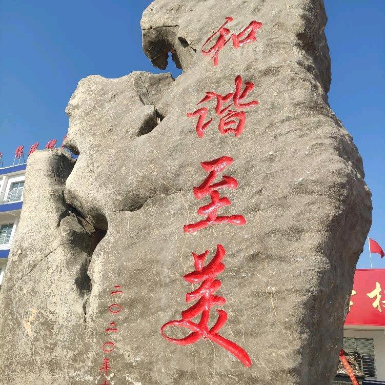 初中生的梦想启航