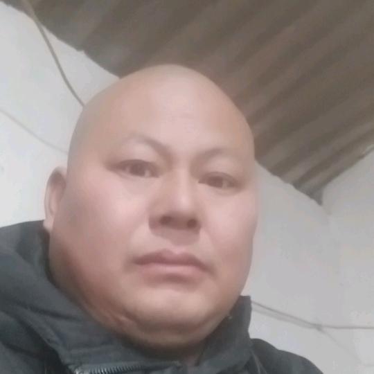 北方的狼