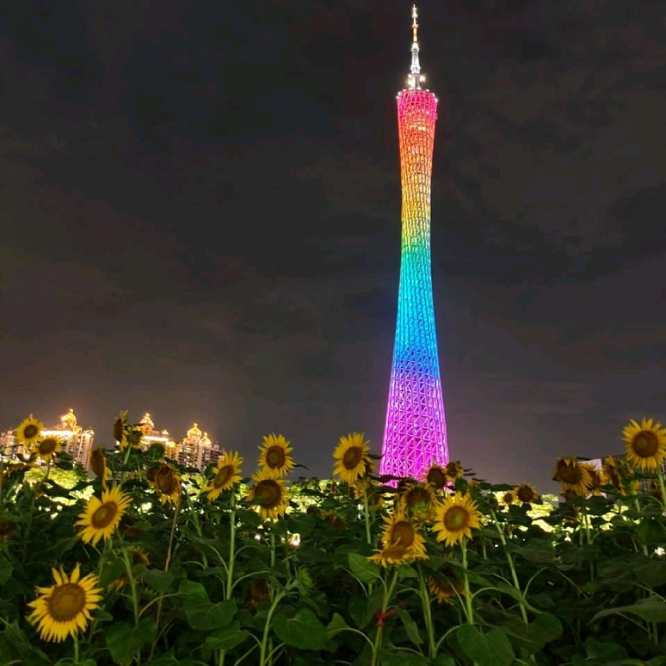 美好明天好物橱窗