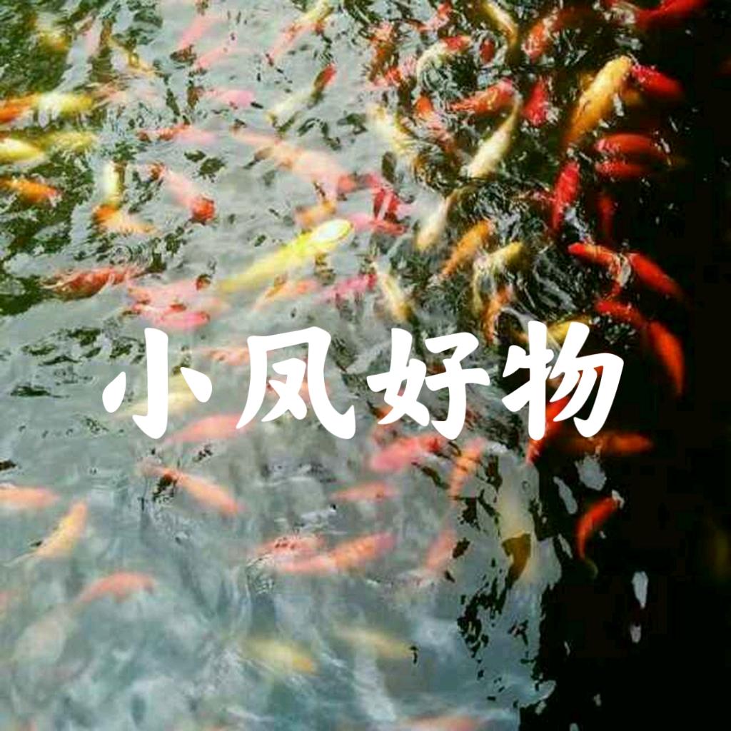小凤好物6