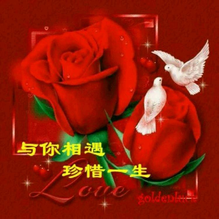 🌟追🌟梦🌟姐