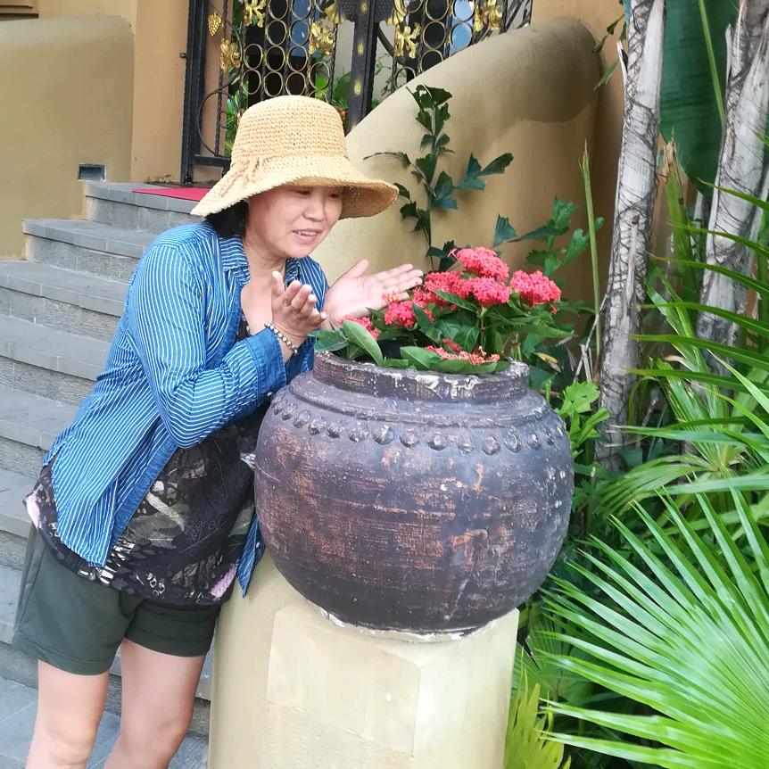 我的田园生活🌻