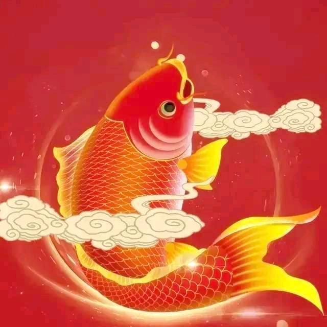 星辰大海🌌