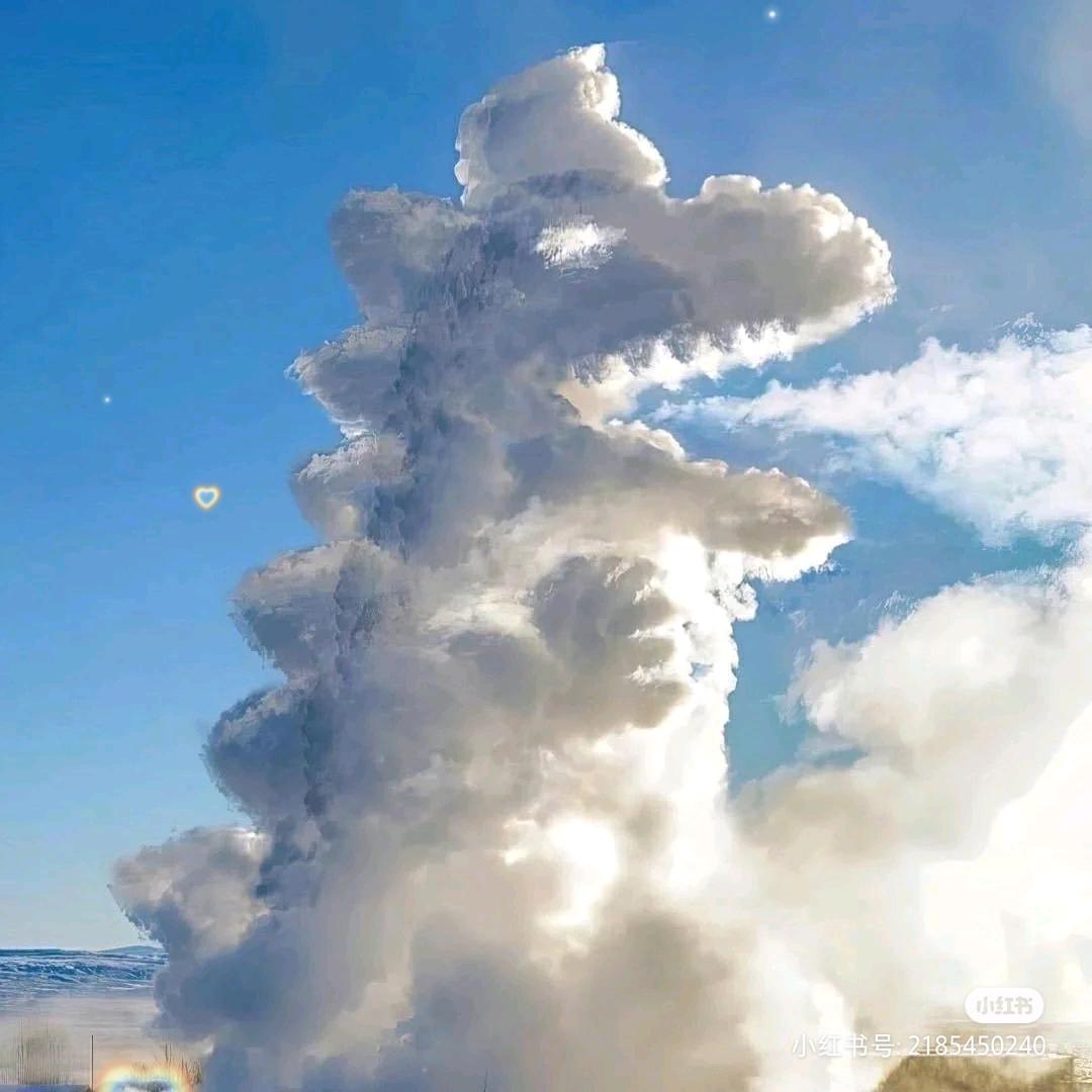 番茄变成西红柿