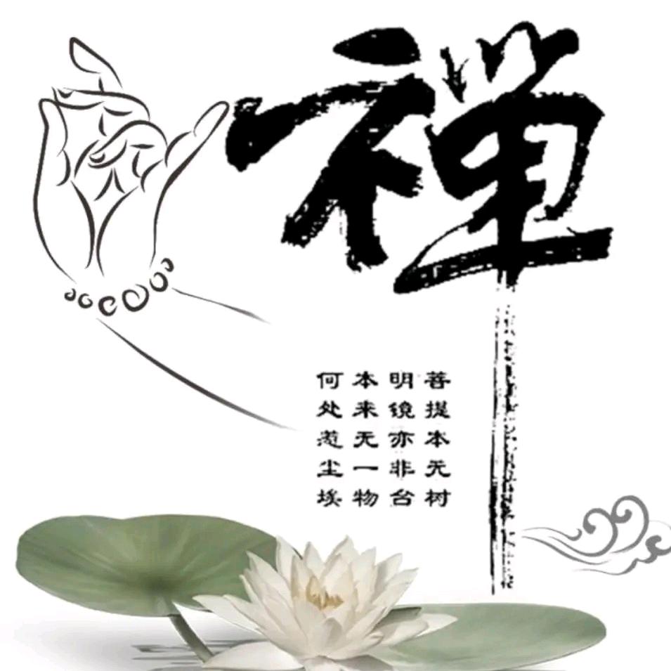 龙哥_81510