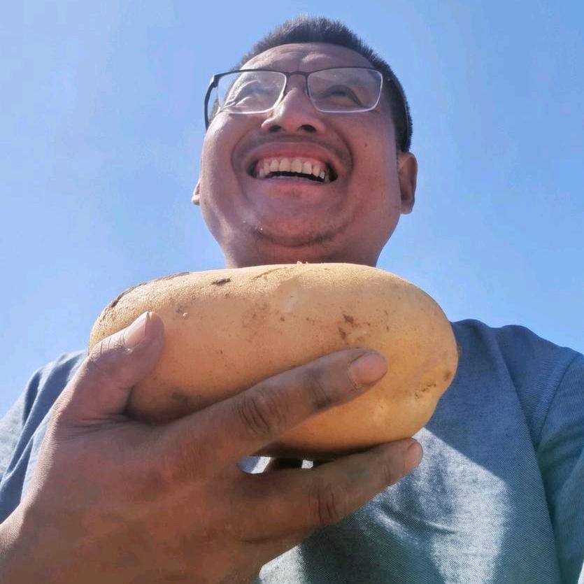 土豆哥