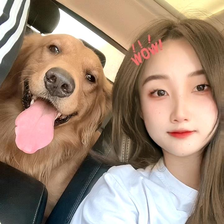 树读