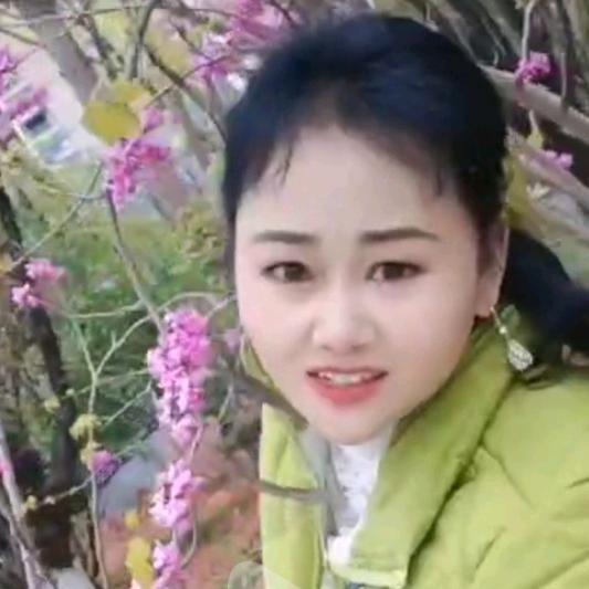 低调的开心