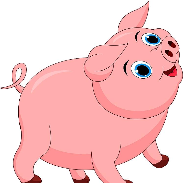 柳州《土乐乐》生猪贸易