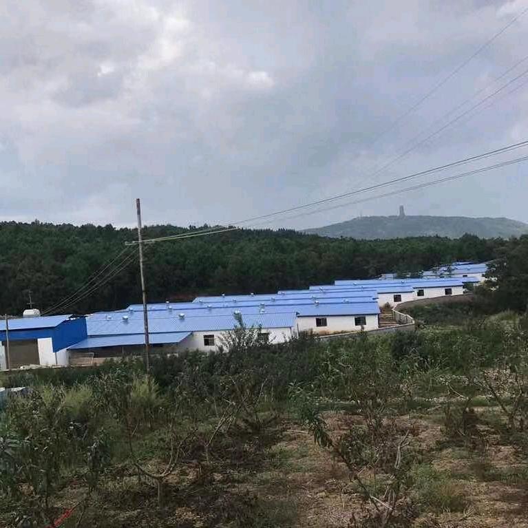 失败是成功之母