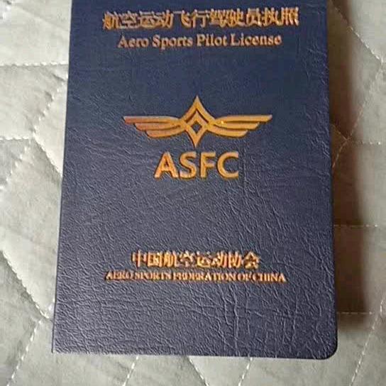 翱翔的神鹰