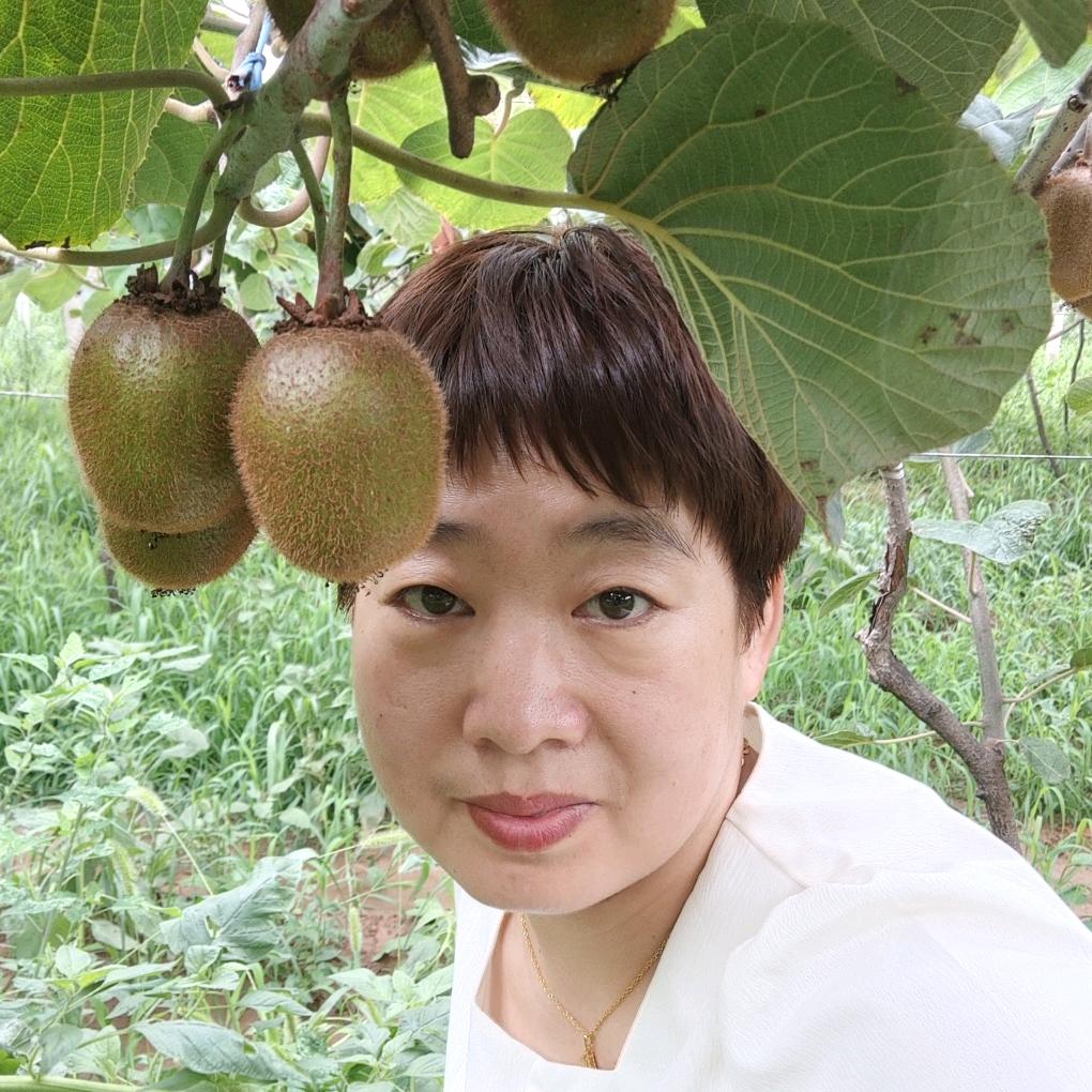刘会计的平凡生活