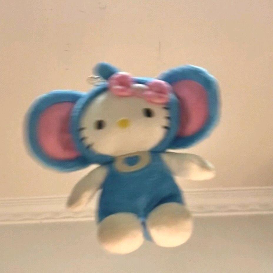 肉团~😼